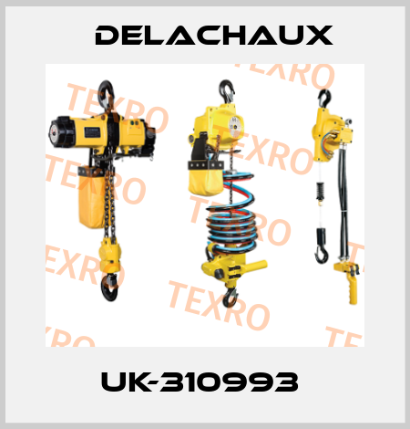 UK-310993  Delachaux