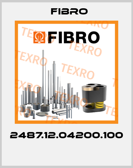 2487.12.04200.100  Fibro