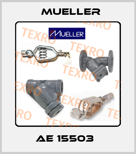 AE 15503   Mueller