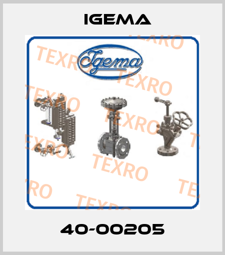 40-00205 Igema