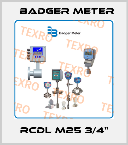 RCDL M25 3/4" Badger Meter