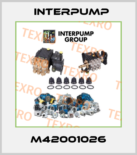 M42001026 Interpump