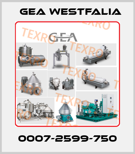 0007-2599-750 Gea Westfalia