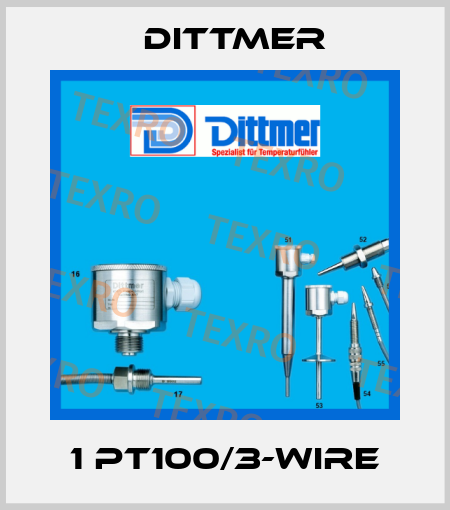 1 PT100/3-WIRE Dittmer