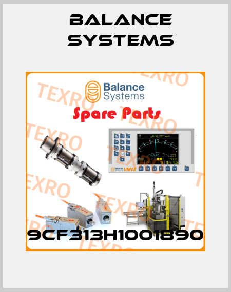 9CF313H1001890 Balance Systems