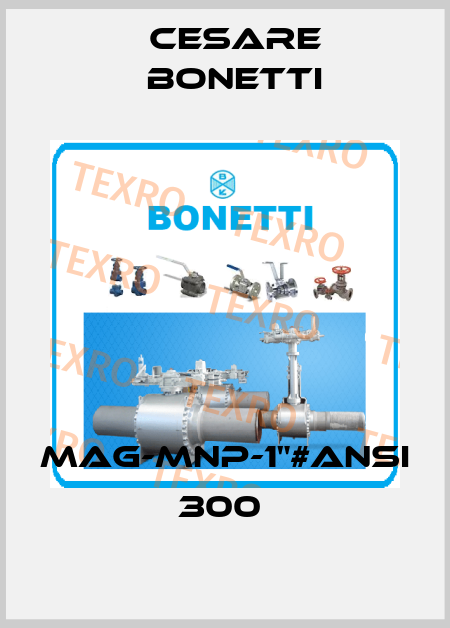 MAG-MNP-1"#ANSI 300  Cesare Bonetti