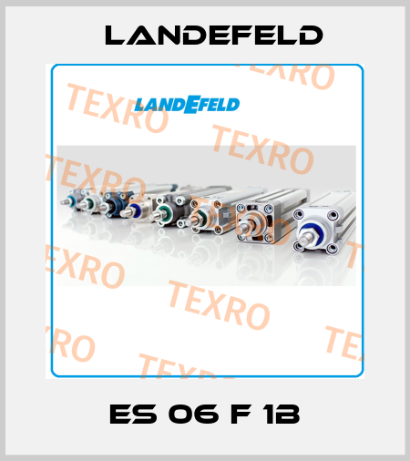 ES 06 F 1B Landefeld