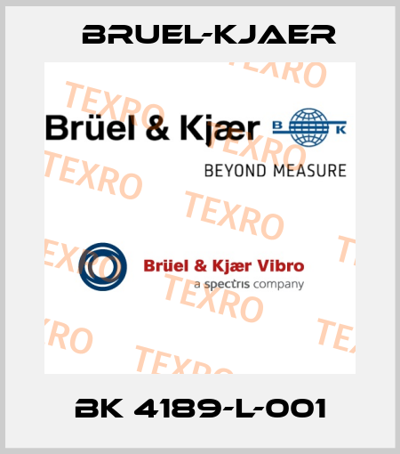 BK 4189-L-001 Bruel-Kjaer