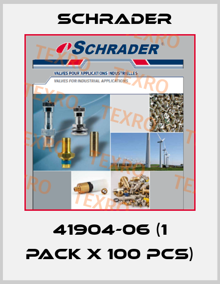 41904-06 (1 pack x 100 pcs) Schrader