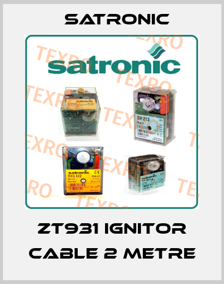 ZT931 ignitor cable 2 metre Satronic