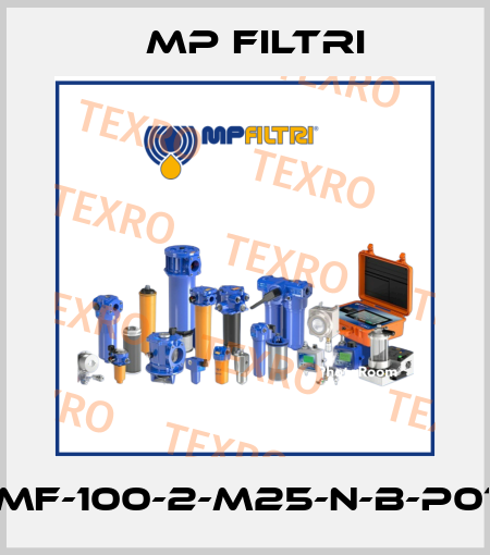 MF-100-2-M25-N-B-P01 MP Filtri
