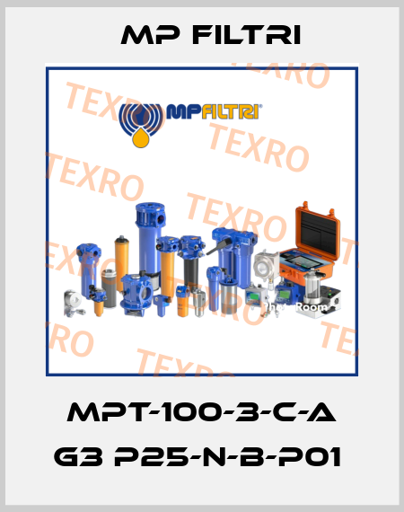 MPT-100-3-C-A G3 P25-N-B-P01  MP Filtri