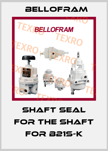 Shaft seal for the shaft for B21S-K Bellofram