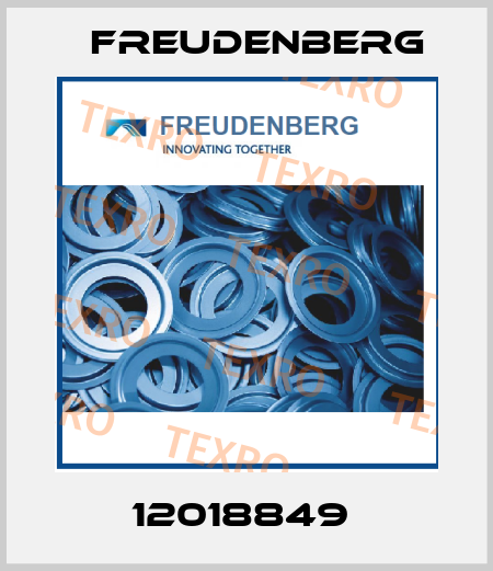 12018849  Freudenberg