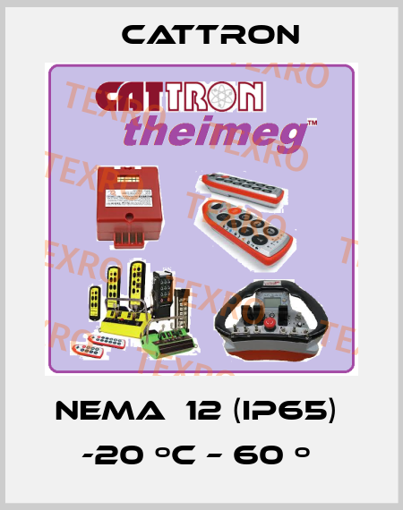 NEMA  12 (IP65)  -20 ºC – 60 º  Cattron