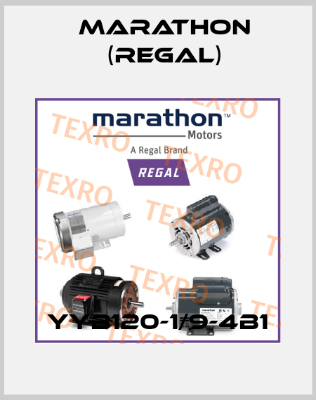 YYB120-1/9-4B1 Marathon (Regal)