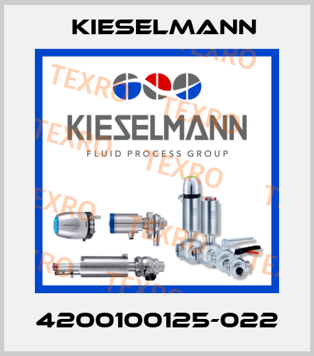 4200100125-022 Kieselmann