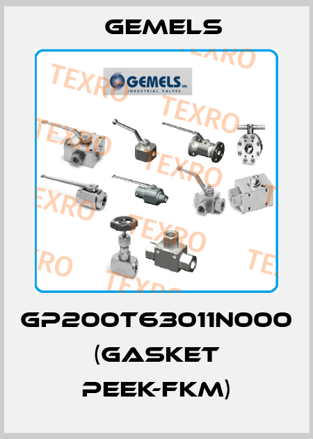 GP200T63011N000 (gasket PEEK-FKM) Gemels