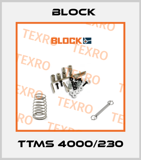 TTMS 4000/230 Block