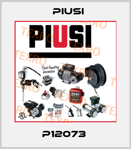 P12073  Piusi