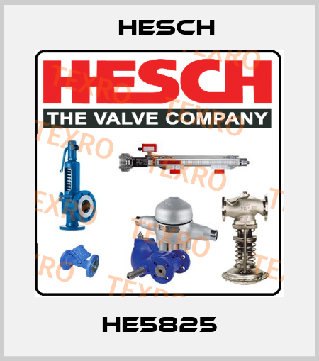HE5825 Hesch