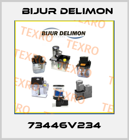 73446V234 Bijur Delimon