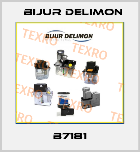 B7181 Bijur Delimon