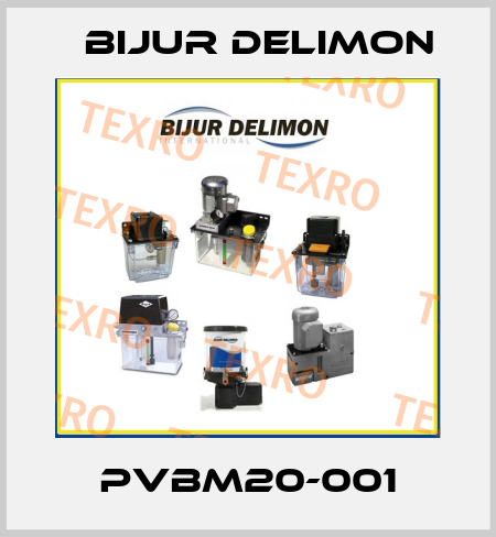 PVBM20-001 Bijur Delimon