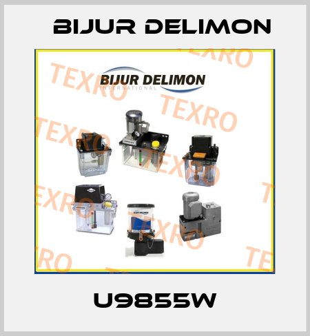 U9855W Bijur Delimon