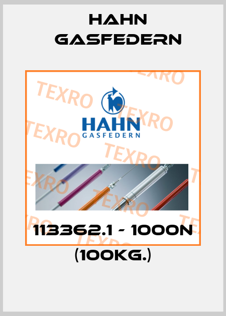 113362.1 - 1000N (100kg.) Hahn Gasfedern