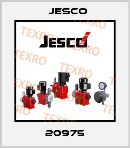 20975 Jesco