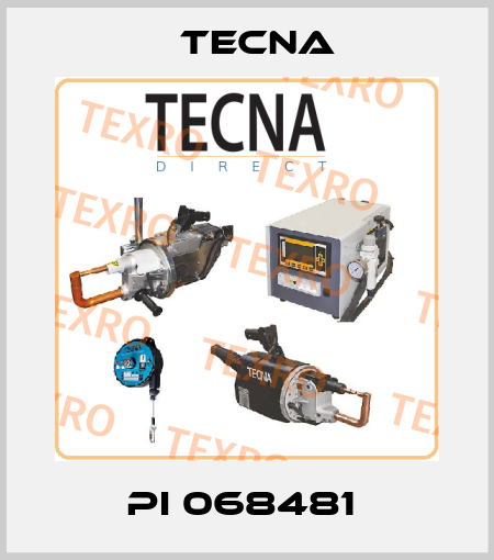 PI 068481  Tecna