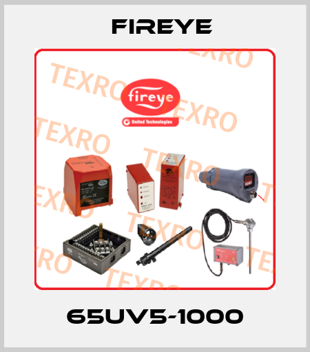 65UV5-1000 Fireye