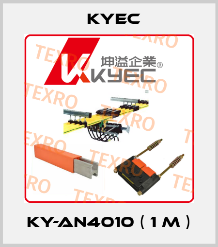 KY-AN4010 ( 1 m ) Kyec
