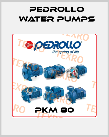 PKm 80 Pedrollo Water Pumps