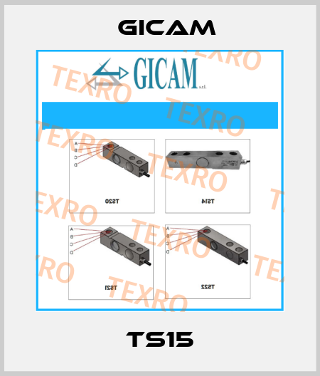 TS15 Gicam
