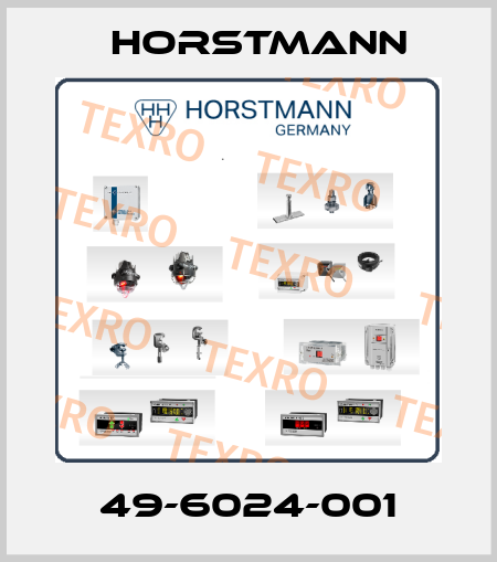 49-6024-001 Horstmann