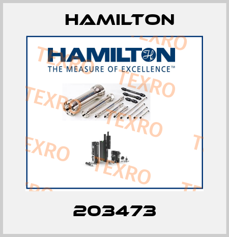 203473 Hamilton