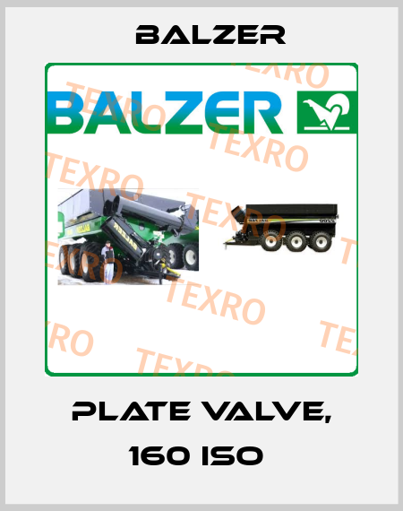 PLATE VALVE, 160 ISO  Balzer