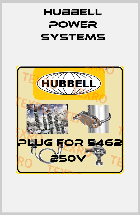 Plug for 5462 250V  Hubbell Power Systems