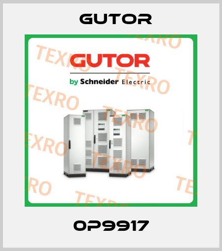 0P9917 Gutor