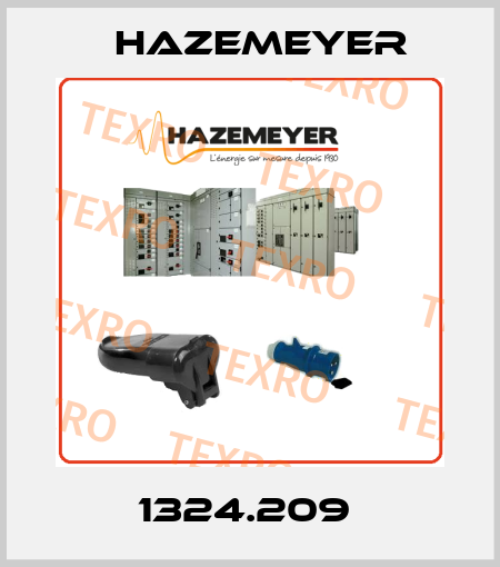 1324.209  Hazemeyer