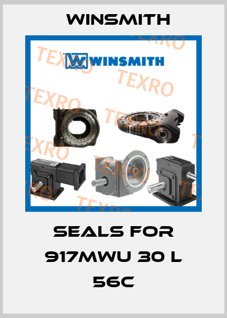 Seals for 917MWU 30 L 56C Winsmith