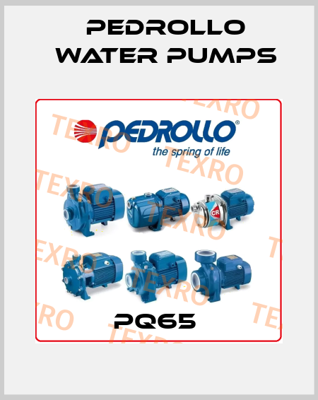 PQ65  Pedrollo Water Pumps