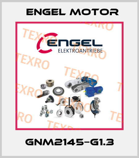 GNM2145−G1.3 Engel Motor