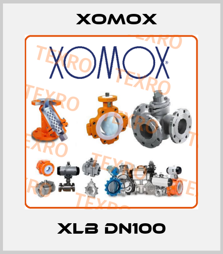 XLB DN100 Xomox