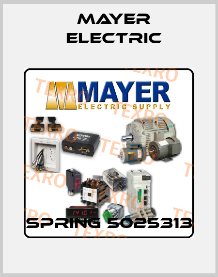 SPRING 5025313 Mayer Electric