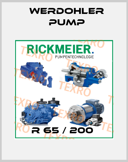 R 65 / 200  Werdohler Pump