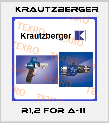 R1,2 FOR A-11  Krautzberger