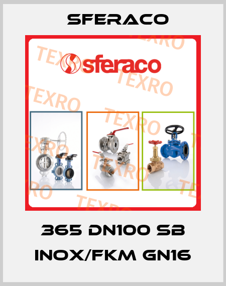 365 DN100 SB INOX/FKM GN16 Sferaco